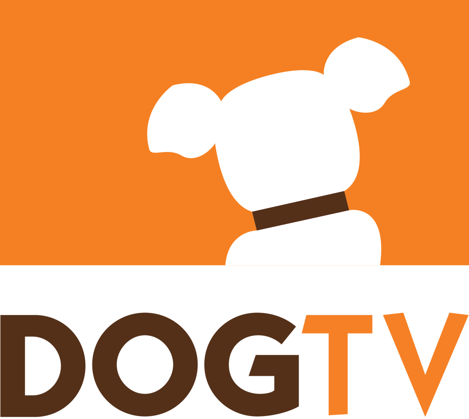 DOGTV Seeks Dog Candidates for Chief Puppy Officer Title